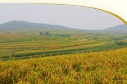 赤峰小米飯飯店電話多少號(hào)