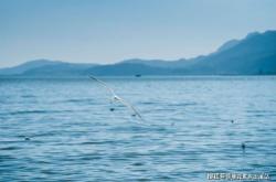 赤峰萬(wàn)達(dá)攬境物業(yè)電話號(hào)碼