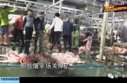 赤峰敖漢生豬屠宰場電話是多少