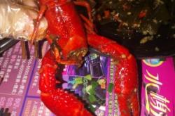 赤峰老炮兒音樂(lè)烤吧電話地址