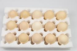 赤峰泡沫蛋托廠家電話地址查詢