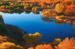 赤峰修傘的店鋪電話號碼是多少