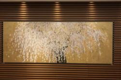 赤峰頭等艙體驗(yàn)館電話號(hào)碼