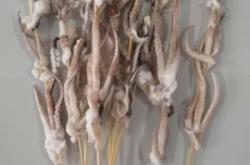 赤峰魷魚串批發(fā)電話號碼查詢