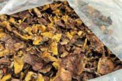 赤峰寧城面粉廠電話號碼多少