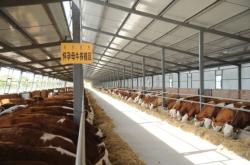 赤峰盆式注漿料廠家電話號碼