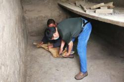 赤峰街道獸醫(yī)站電話號碼是多少