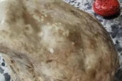 赤峰沙發(fā)包漿機(jī)廠(chǎng)家電話(huà)號(hào)碼