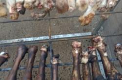 赤峰阿旗煙花廠電話多少號(hào)