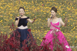 赤峰交響樂團聯(lián)系電話號碼