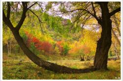 赤峰美林鎮(zhèn)旺業(yè)甸社區(qū)電話號(hào)碼