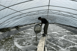 赤峰小棚焊接廠家電話號(hào)碼查詢