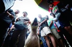 赤峰狗肉販子電話號碼多少號