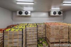 赤峰豫東食品廠電話多少號