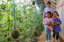 赤峰市采摘西瓜的地方電話號碼