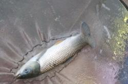 赤峰三座店釣魚地址電話號(hào)碼