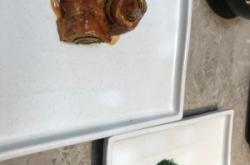 赤峰清意齋飯店電話多少號(hào)