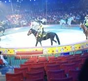 赤峰東郊馬戲團(tuán)電話號(hào)碼多少