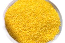 赤峰圓棗子苗廠家電話號碼