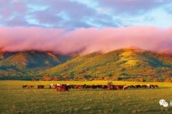 赤峰市千家匯電話號(hào)碼