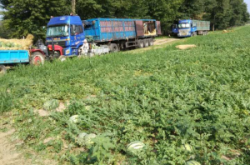 赤峰市橋頭鎮(zhèn)政府電話號碼