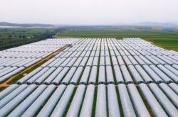 赤峰市紅糧基地地址電話號碼