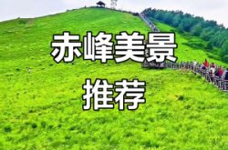 赤峰仿真盆栽批發(fā)市場電話號碼