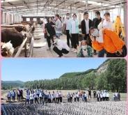 赤峰澤佳臺球館電話號碼多少