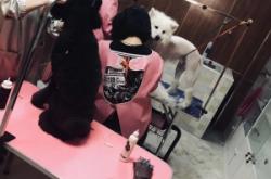 赤峰包頭寵物醫(yī)院電話號碼多少