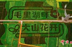 赤峰市桃花花海社區(qū)電話號(hào)碼