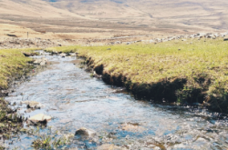 赤峰東蘇牛羊批發(fā)部電話號(hào)碼