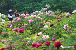 赤峰市雨潤(rùn)花卉市場(chǎng)電話號(hào)碼