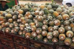 赤峰鳳梨蛋糕店電話號(hào)碼多少