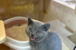 赤峰超級萌寵屋電話多少號