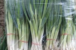 赤峰林西豫菜館電話多少號