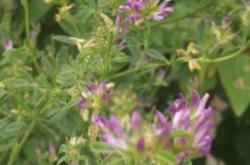 赤峰彤陽浴池怎么樣