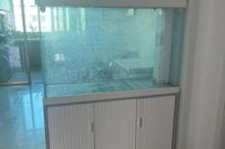 赤峰市定制魚缸電話號碼查詢