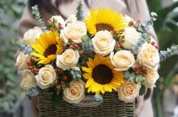 赤峰玫瑰花鮮花批發(fā)電話號碼