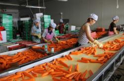 赤峰中唐水渣加工廠電話號(hào)碼