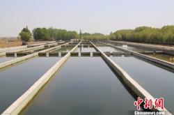 赤峰市魚(yú)苗養(yǎng)殖基地電話號(hào)碼