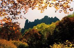 赤峰柏康大藥房電話號碼查詢