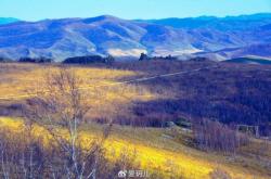 赤峰克旗政府網(wǎng)