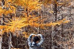 赤峰溜達(dá)牛肉店電話多少號(hào)