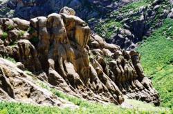 赤峰動物火葬場電話號碼查詢