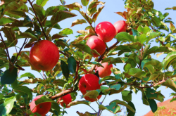 赤峰寧城縣莎莎舞廳電話號碼