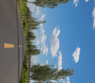 赤峰雅迪松山區(qū)售后電話號(hào)碼