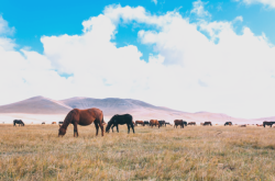 赤峰大地益居門店電話