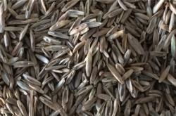 赤峰牧草種子公司電話號碼