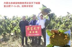 赤峰種子化肥行業(yè)協(xié)會(huì)電話號(hào)碼