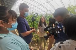 赤峰市大棗采摘電話是多少號